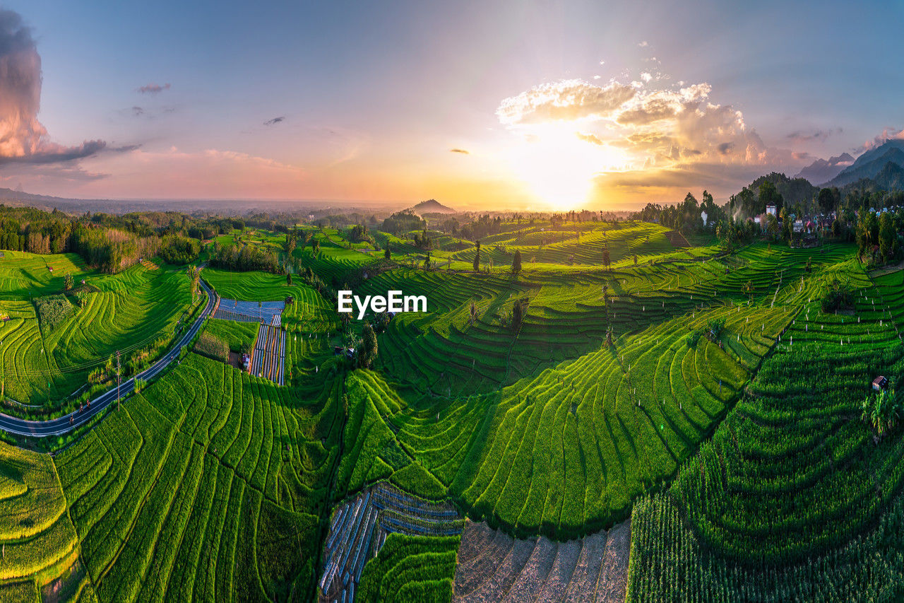 landscape, environment, agriculture, land, field, rural scene, crop, sunset, sky, nature, scenics - nature, farm, plant, sun, environmental conservation, social issues, travel, beauty in nature, food and drink, hill, twilight, cloud, growth, igniting, architecture, food, tree, valley, sunlight, outdoors, city, travel destinations, multi colored, rural area, terrace, rice paddy, green, tourism, plantation, building, dawn, sunbeam, no people, forest, tranquility, rice, tropical climate, pattern, occupation, flower, panoramic, religion, arriving, porcelain, plant part, in a row, ceramic, leaf, summer, gardening, tea crop, terraced field, freshness, tropical tree, plain