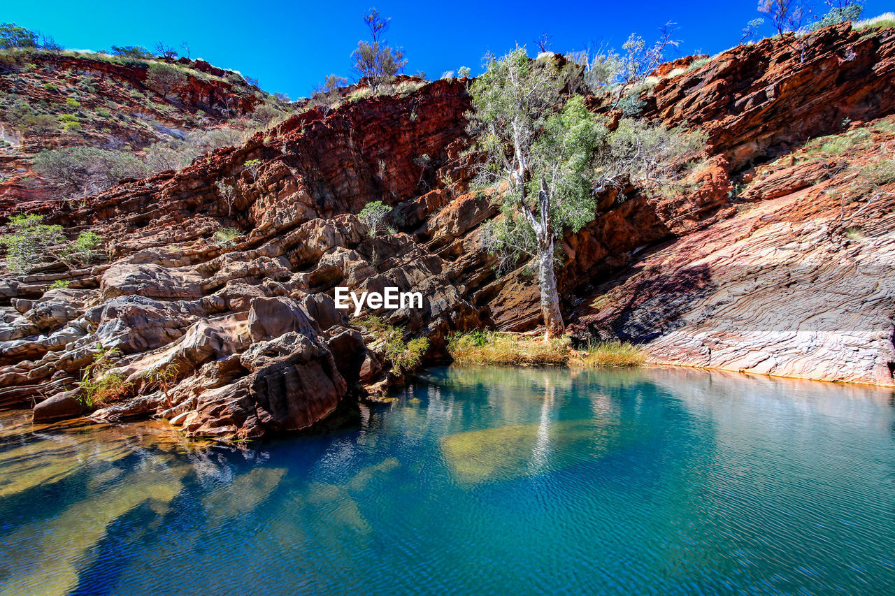 View of trees on cliff against blue sky