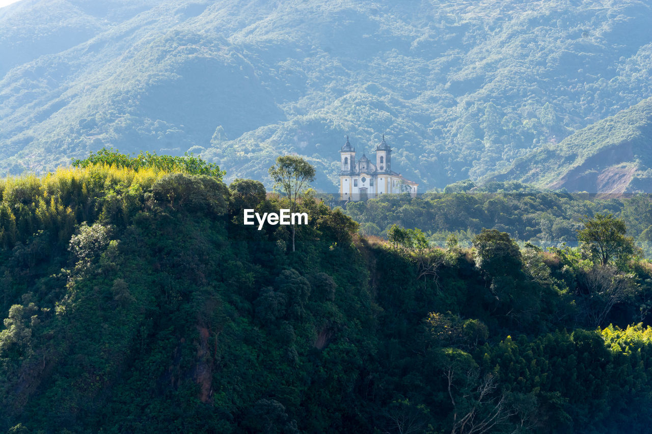 Plants and trees by buildings against mountains