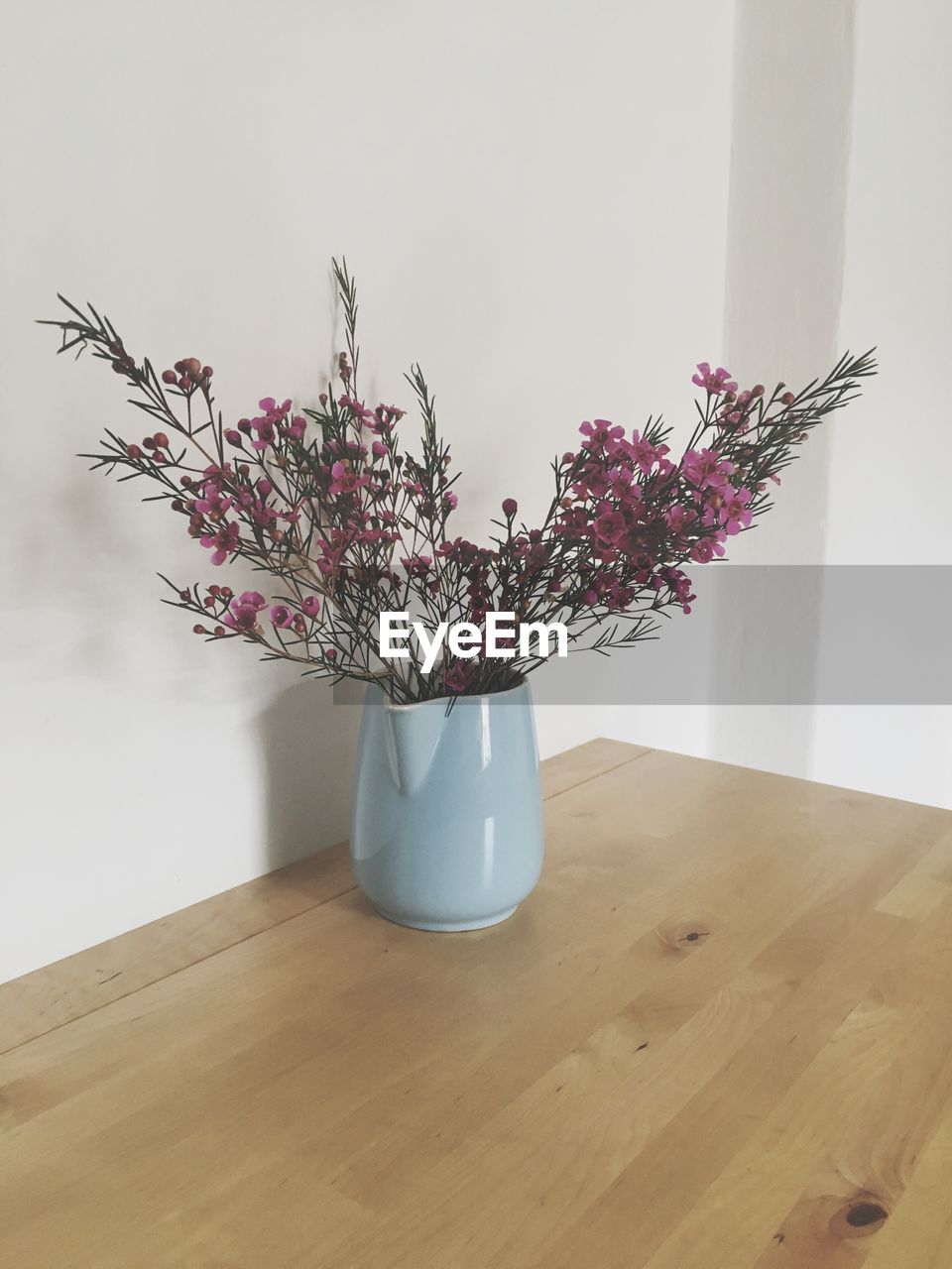 Close-up of flower vase on table against wall