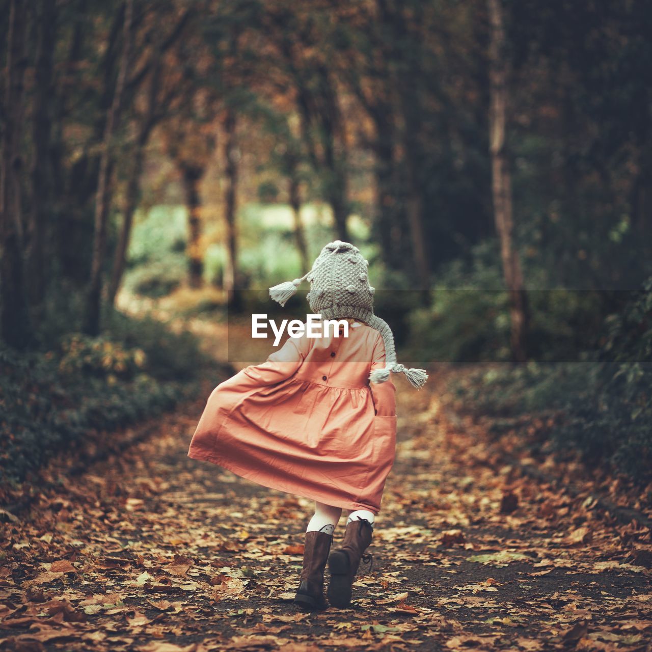 Rear view of girl walking in forest during autumn