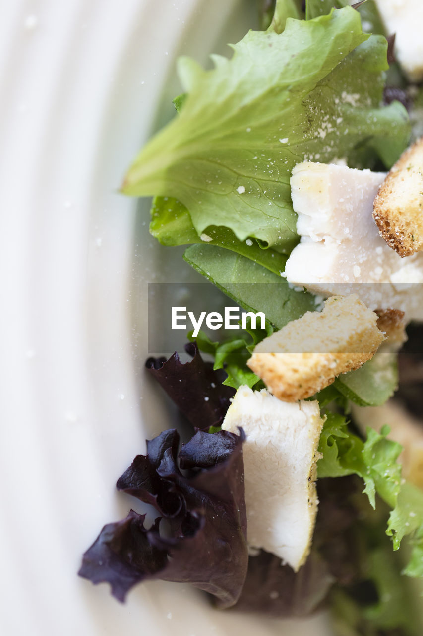 Close-up of fresh salad with chicken pieces and croutons