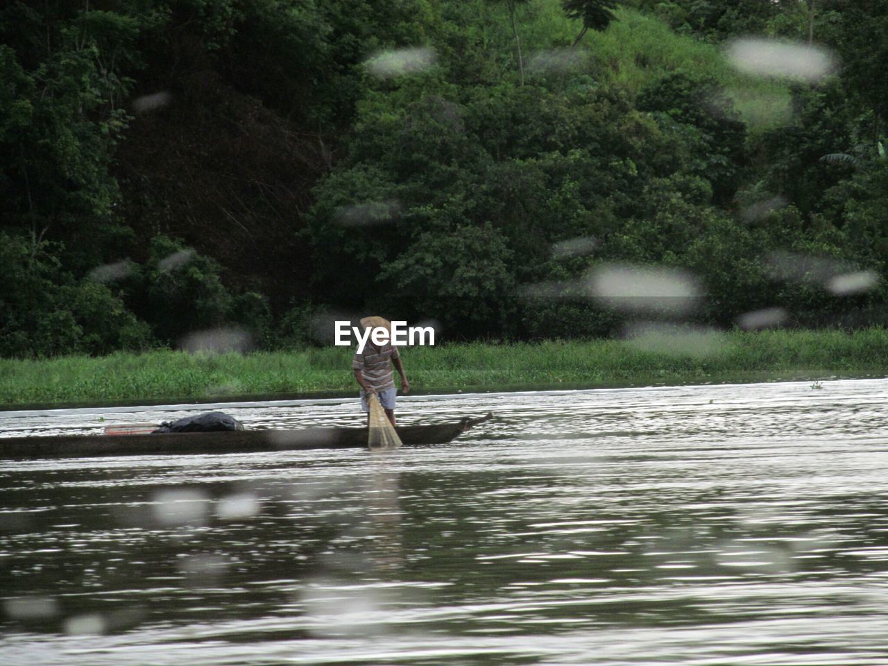 VIEW OF TREES IN WATER