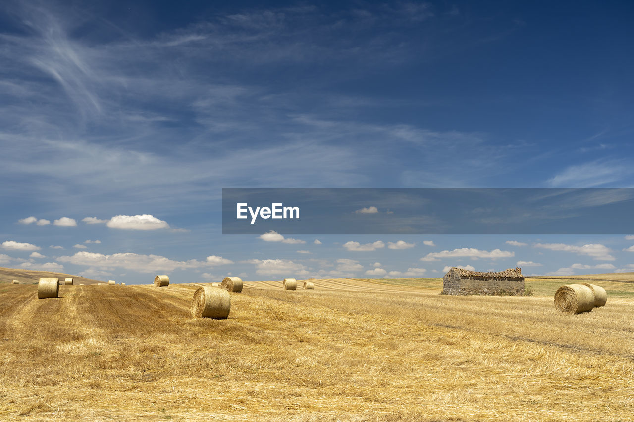 HAY BALES ON FIELD AGAINST SKY DURING SUNSET