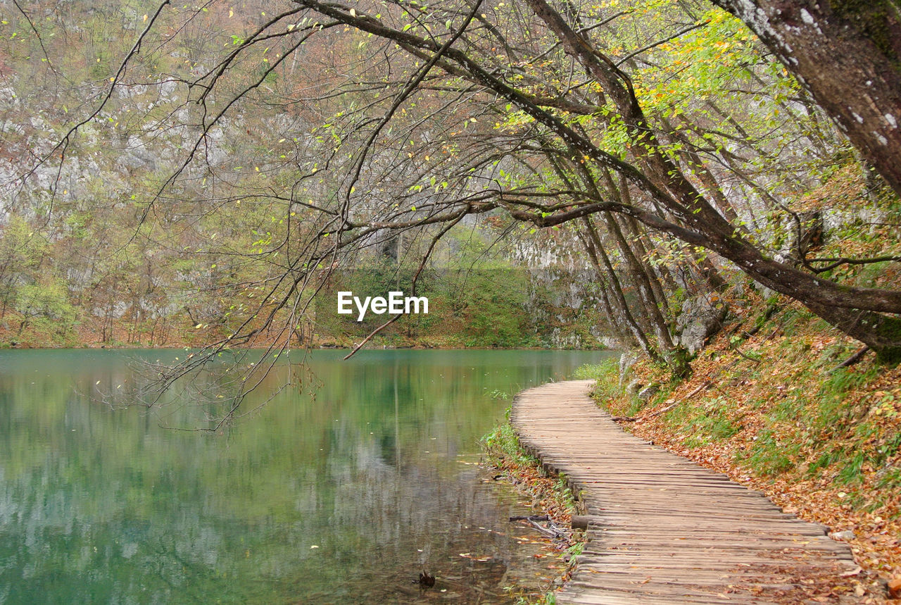 Scenic view of lake amidst trees in forest