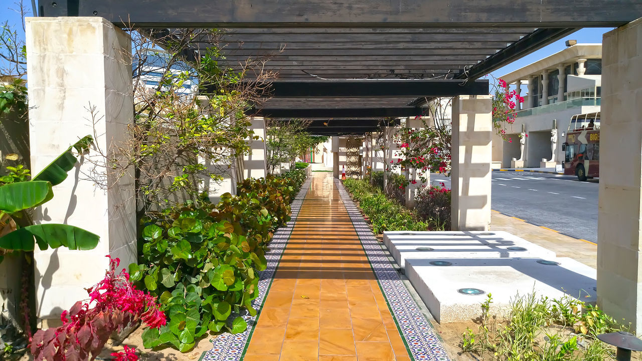 Empty sidewalk amidst plants in city