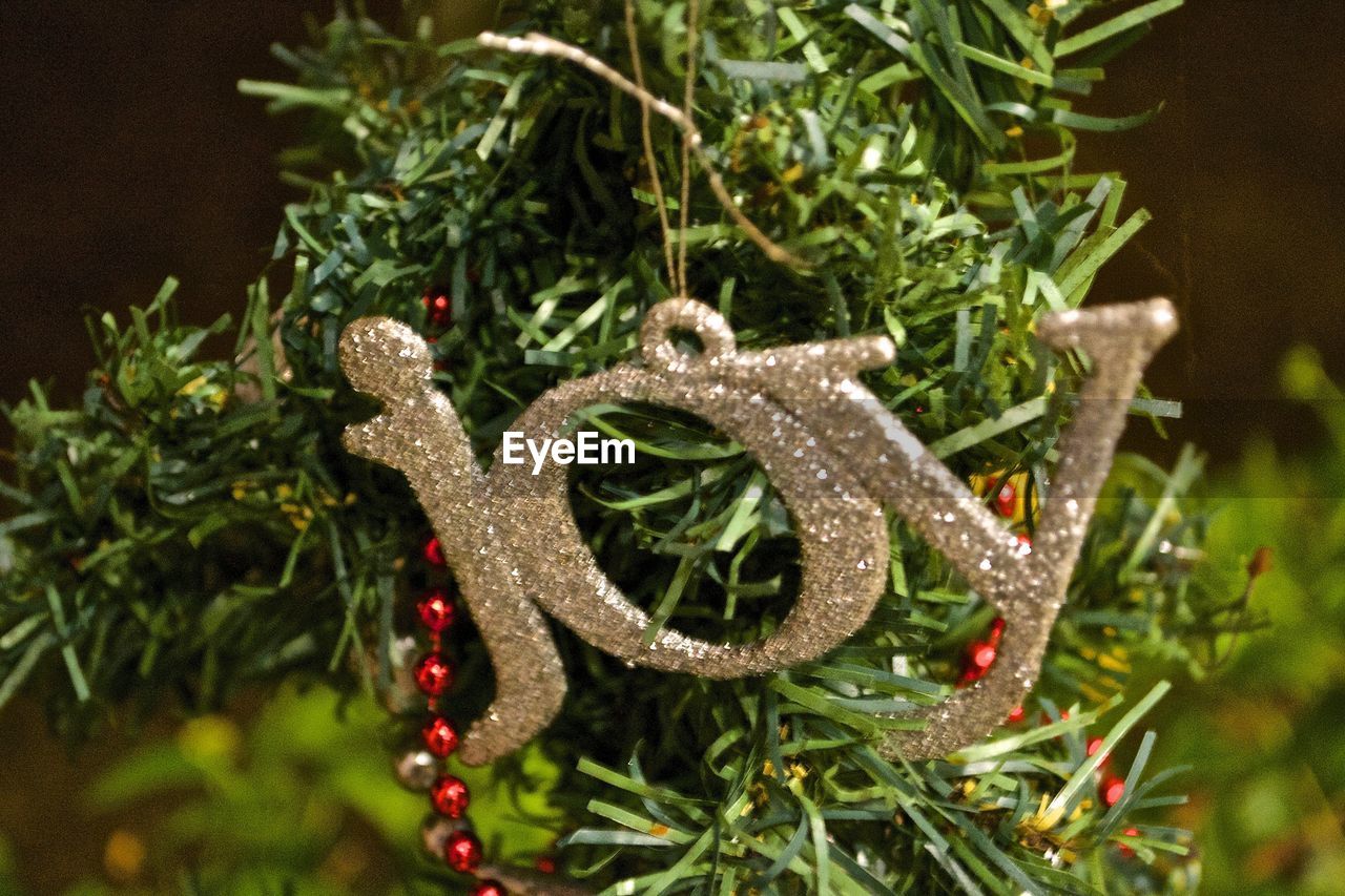 Close-up of shiny decoration on christmas tree