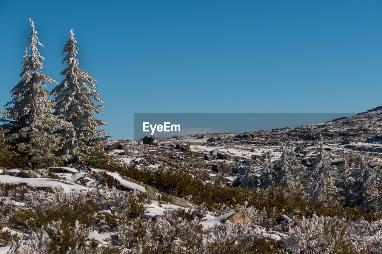 SNOWCAPPED MOUNTAINS AGAINST CLEAR BLUE SKY