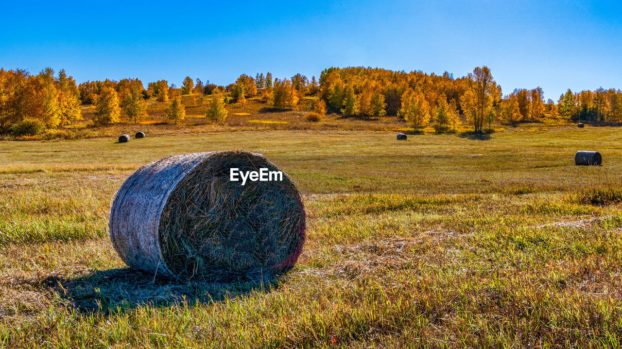 Hay bales on field against sky