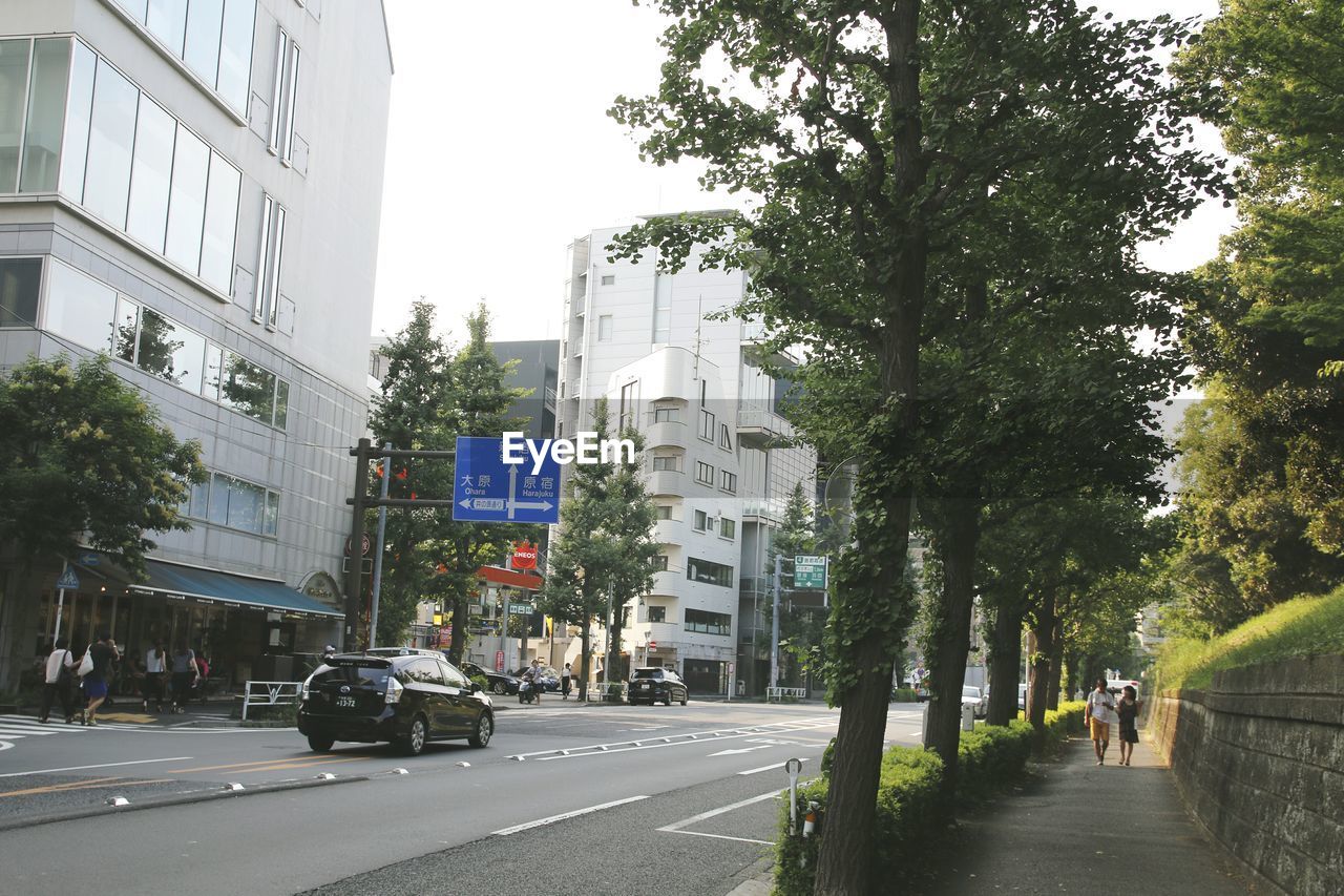 CITY STREET AND TREES