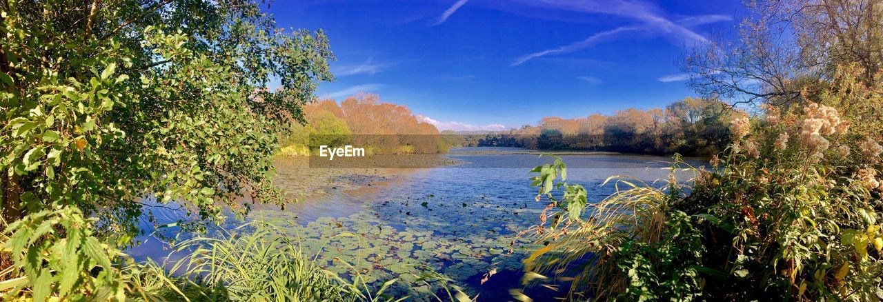 SCENIC SHOT OF CALM LAKE AGAINST TREES