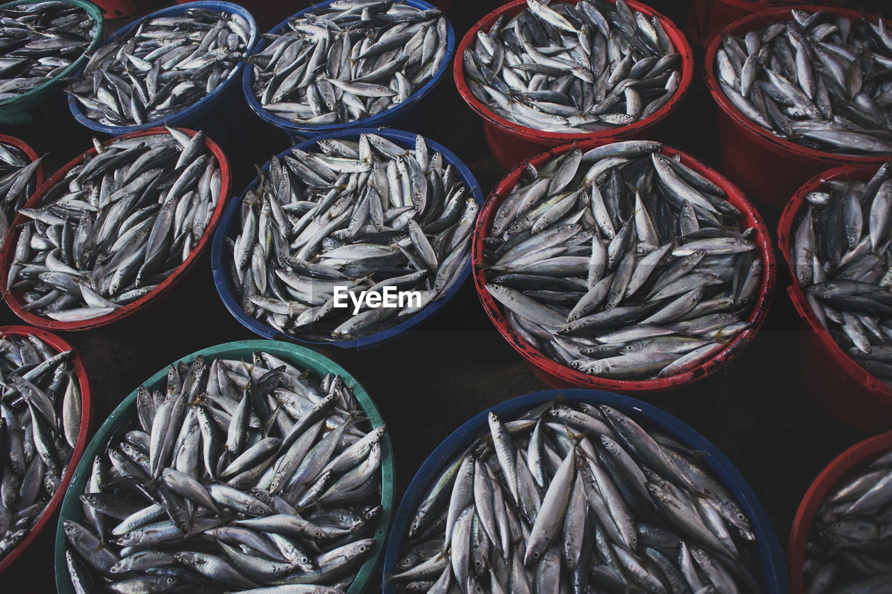 Full frame shot of fish for sale at market