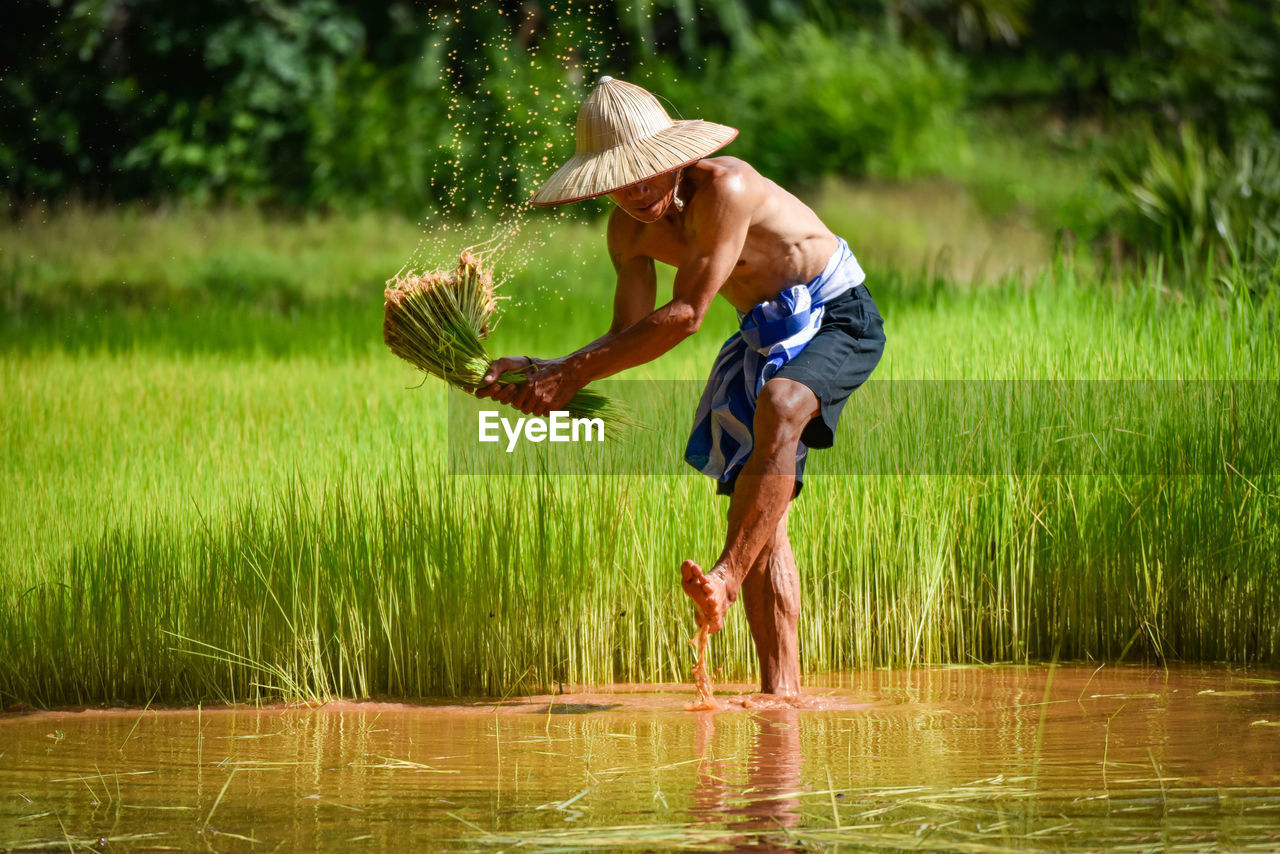 Shirtless man farming in water on field