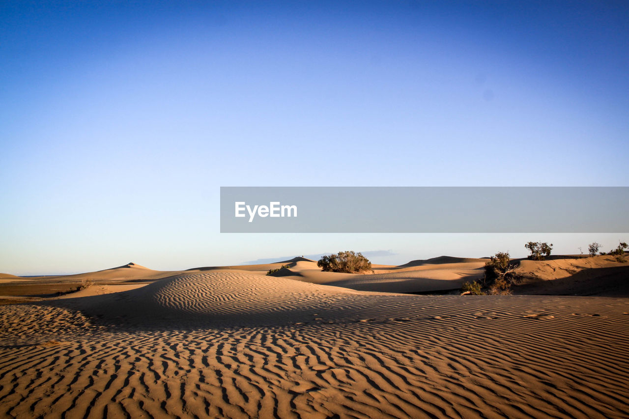 View of sand dunes in desert against clear blue sky