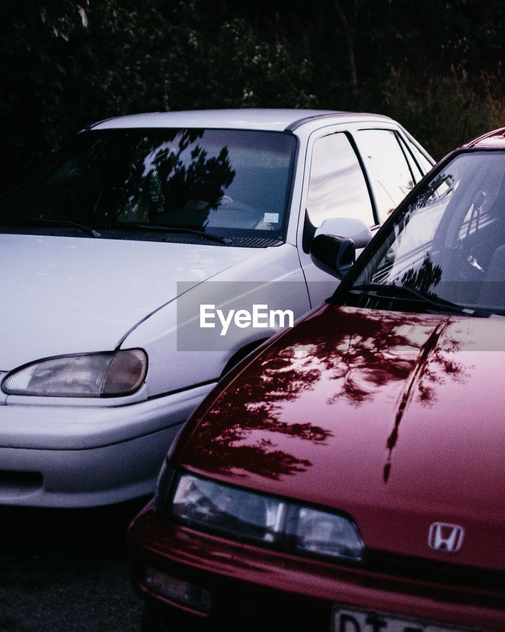 CLOSE-UP OF CAR PARKED AGAINST TREES