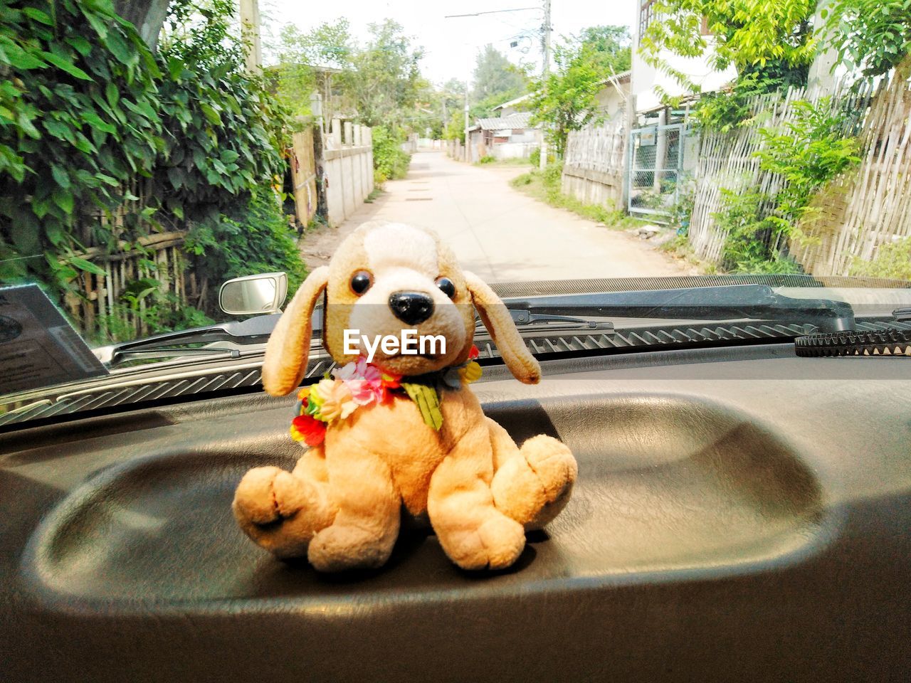 HIGH ANGLE VIEW OF DOG BY CAR