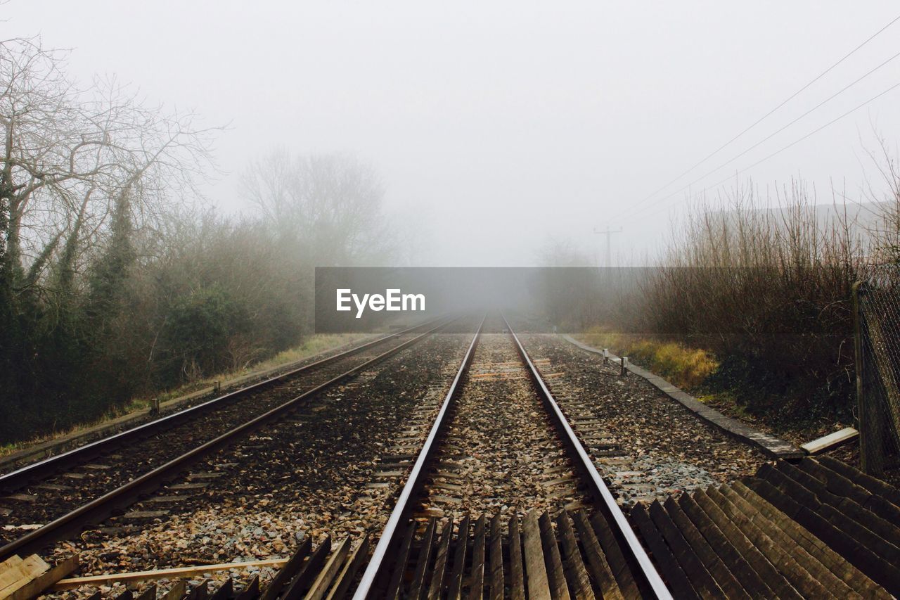 Railroad tracks in winter