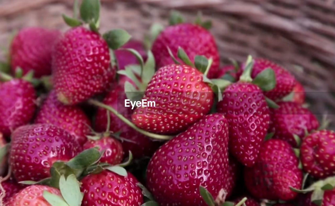 CLOSE-UP OF STRAWBERRY