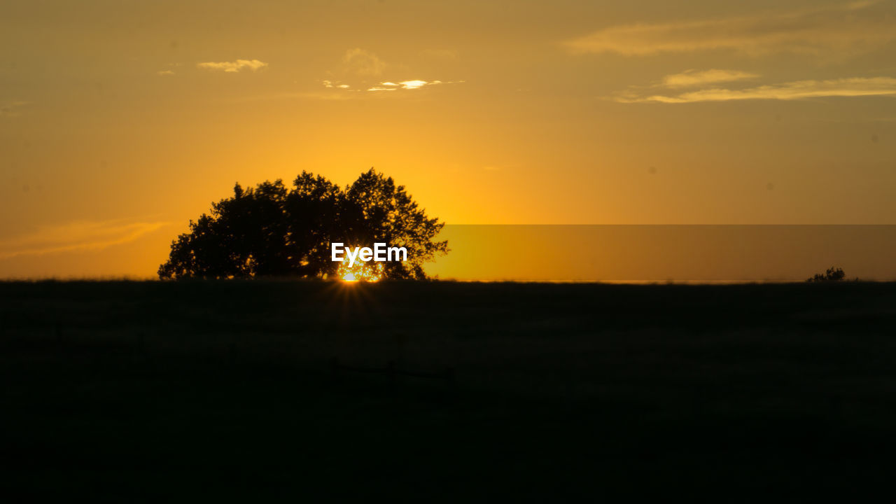 SILHOUETTE TREE ON FIELD AGAINST SKY DURING SUNSET