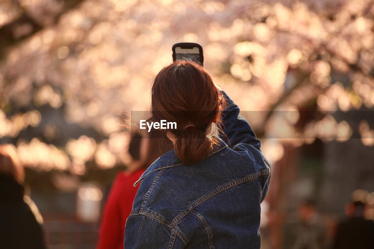 Rear view of woman photographing