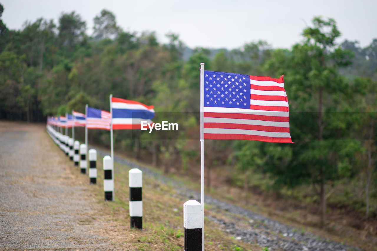 FLAG AGAINST TREES