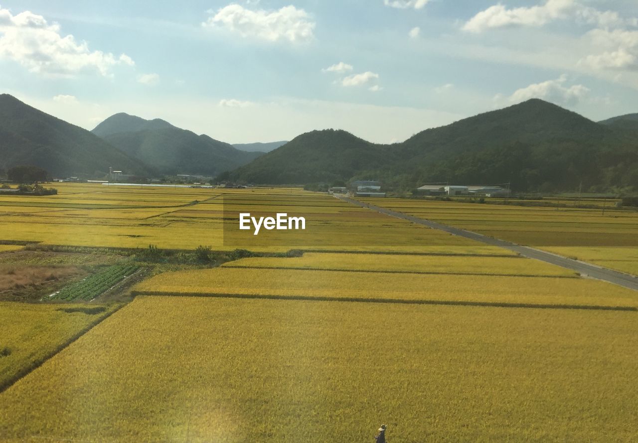 SCENIC VIEW OF FARM AGAINST SKY