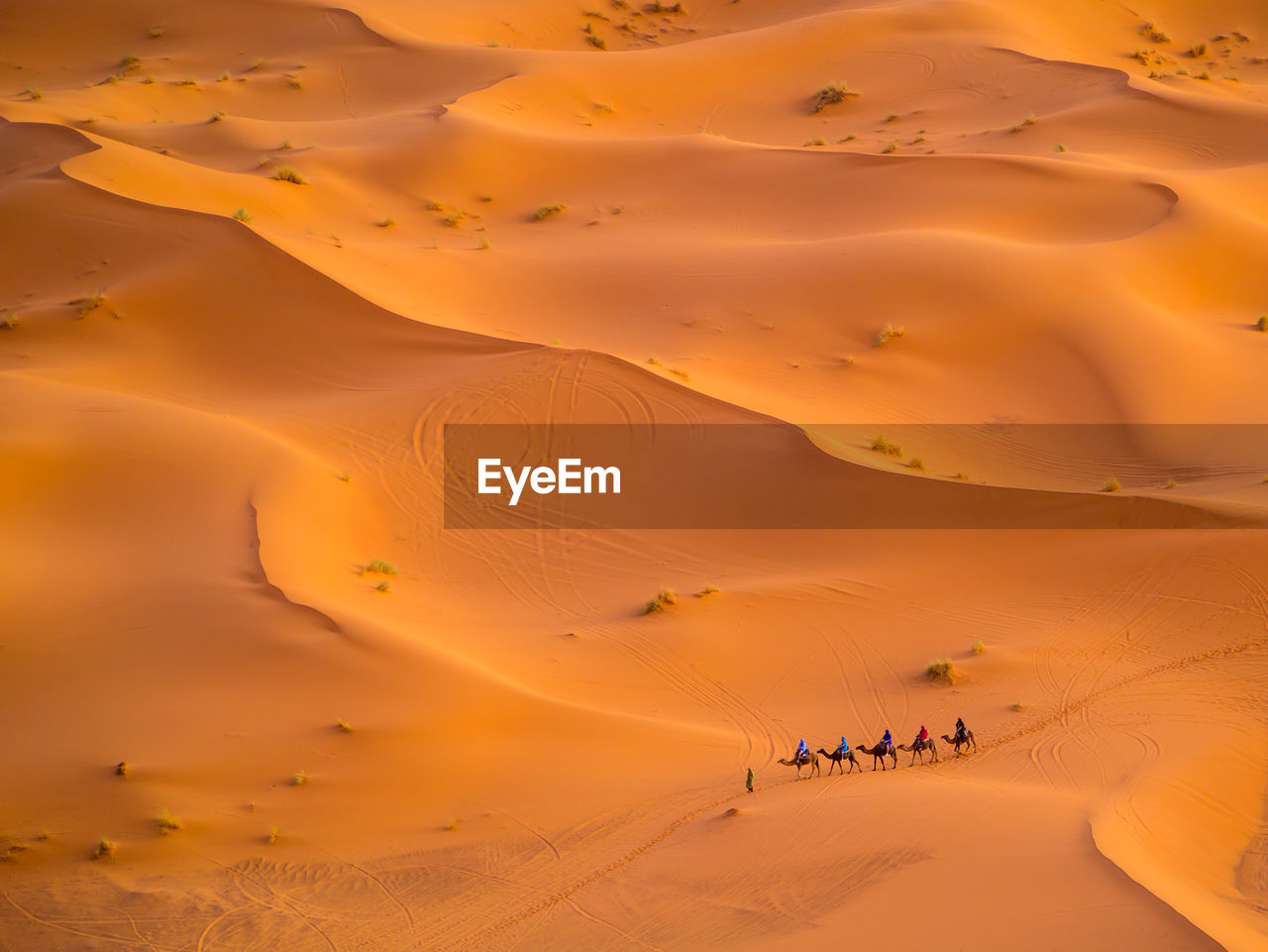 People riding camels on sand dunes in desert