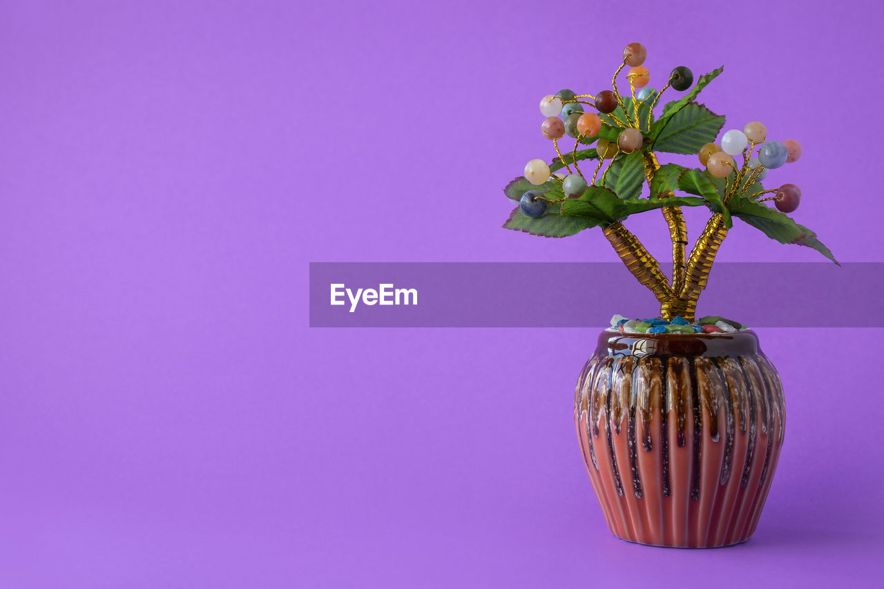 plant, purple, flower, flowering plant, studio shot, nature, vase, indoors, no people, colored background, copy space, beauty in nature, freshness, decoration, pink, violet, still life, growth, ikebana, flowerpot, fragility, close-up, flower head, lavender, single object