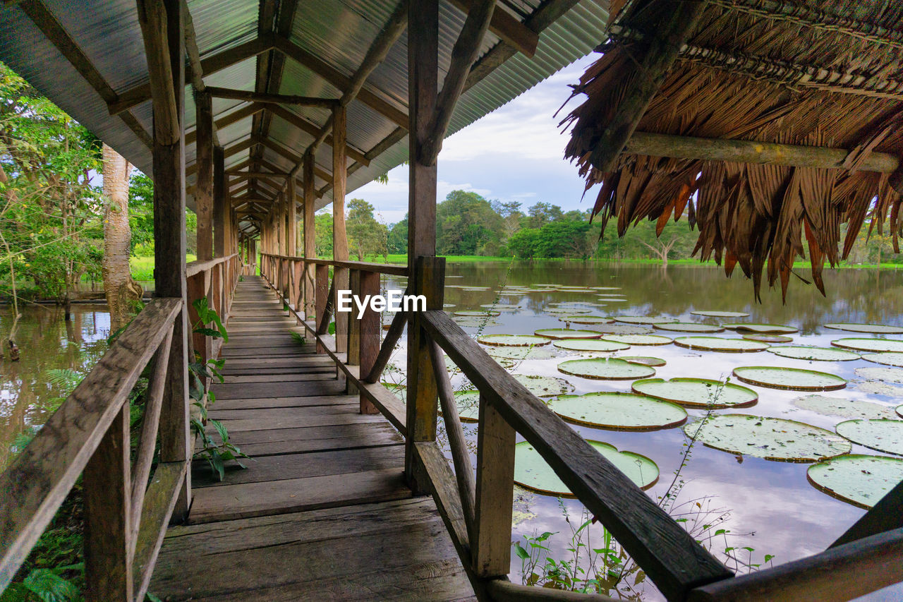 Scenic view of river amidst trees