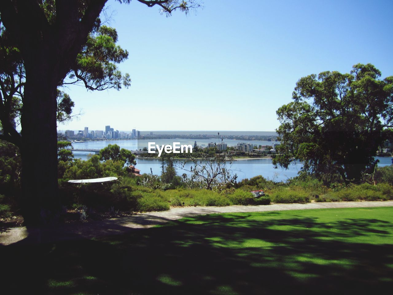 TREES BY LAKE AGAINST CLEAR SKY