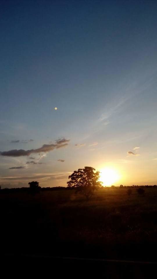 SUNSET OVER FIELD