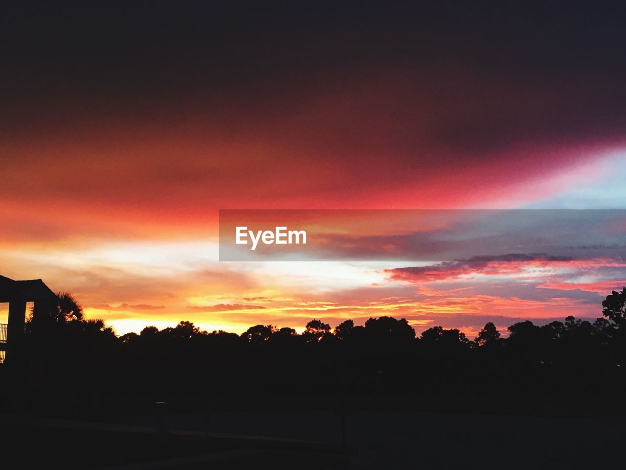 Low angle view of silhouette trees against sunset sky