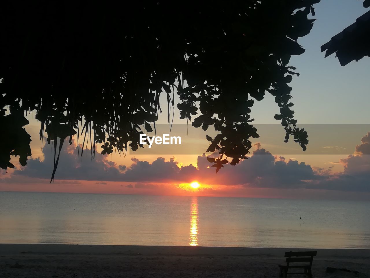 SILHOUETTE TREE BY SEA AGAINST ORANGE SKY