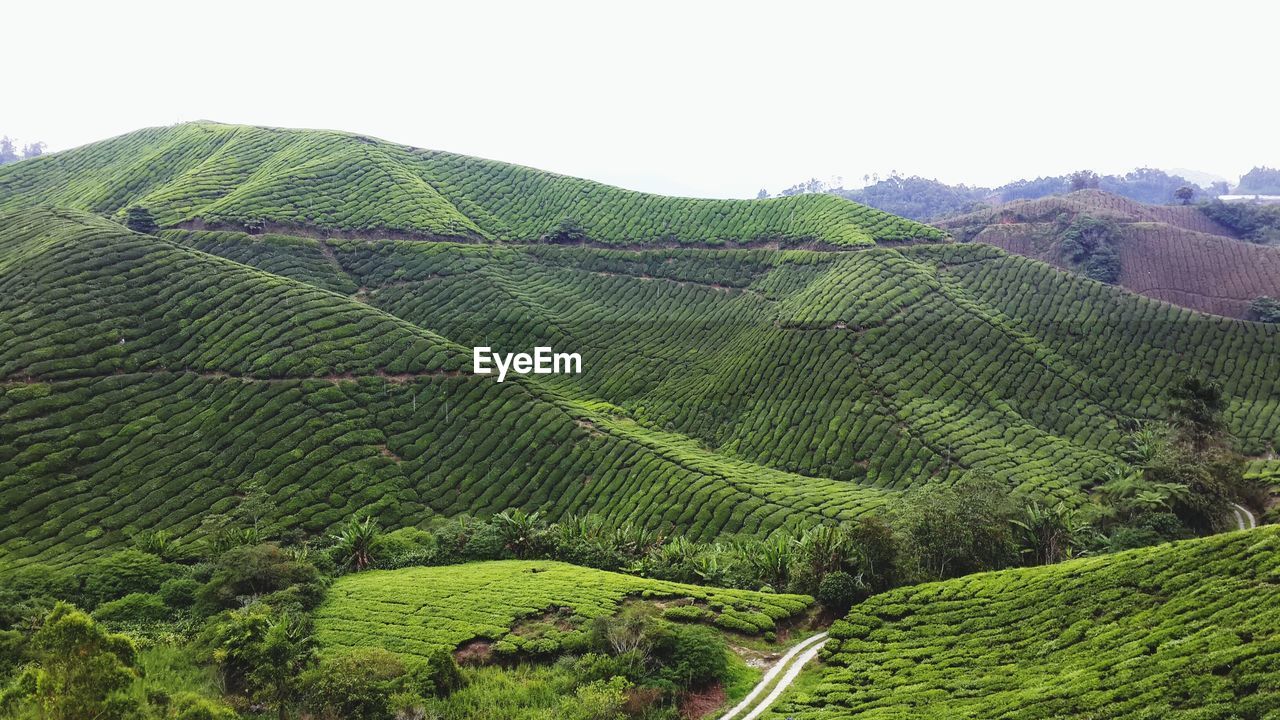 High angle view of fields against clear sky