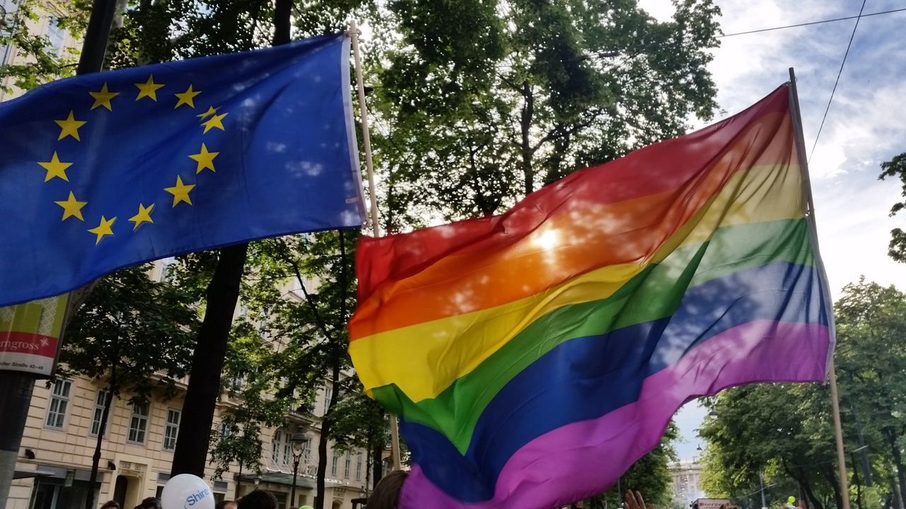 Low angle view of european union flag and rainbow flag against tree