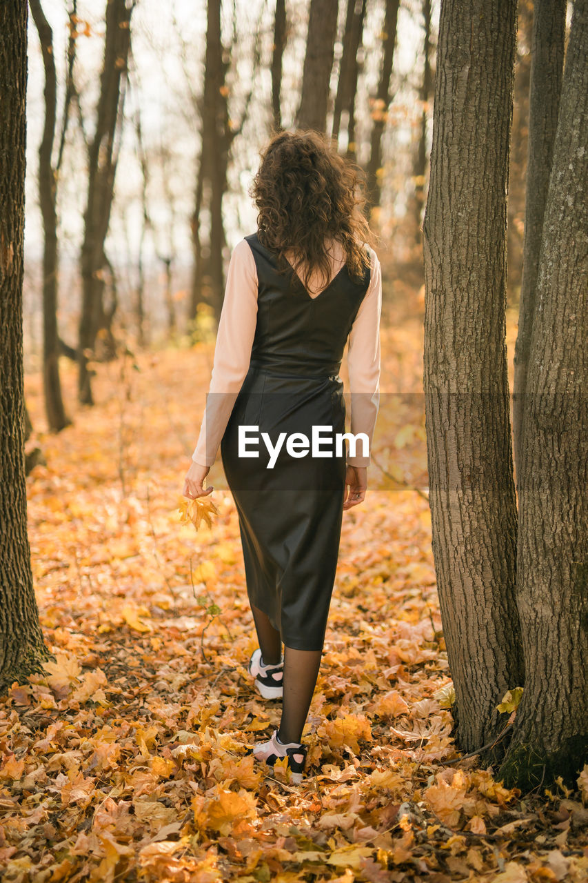 rear view of young woman standing in forest during autumn