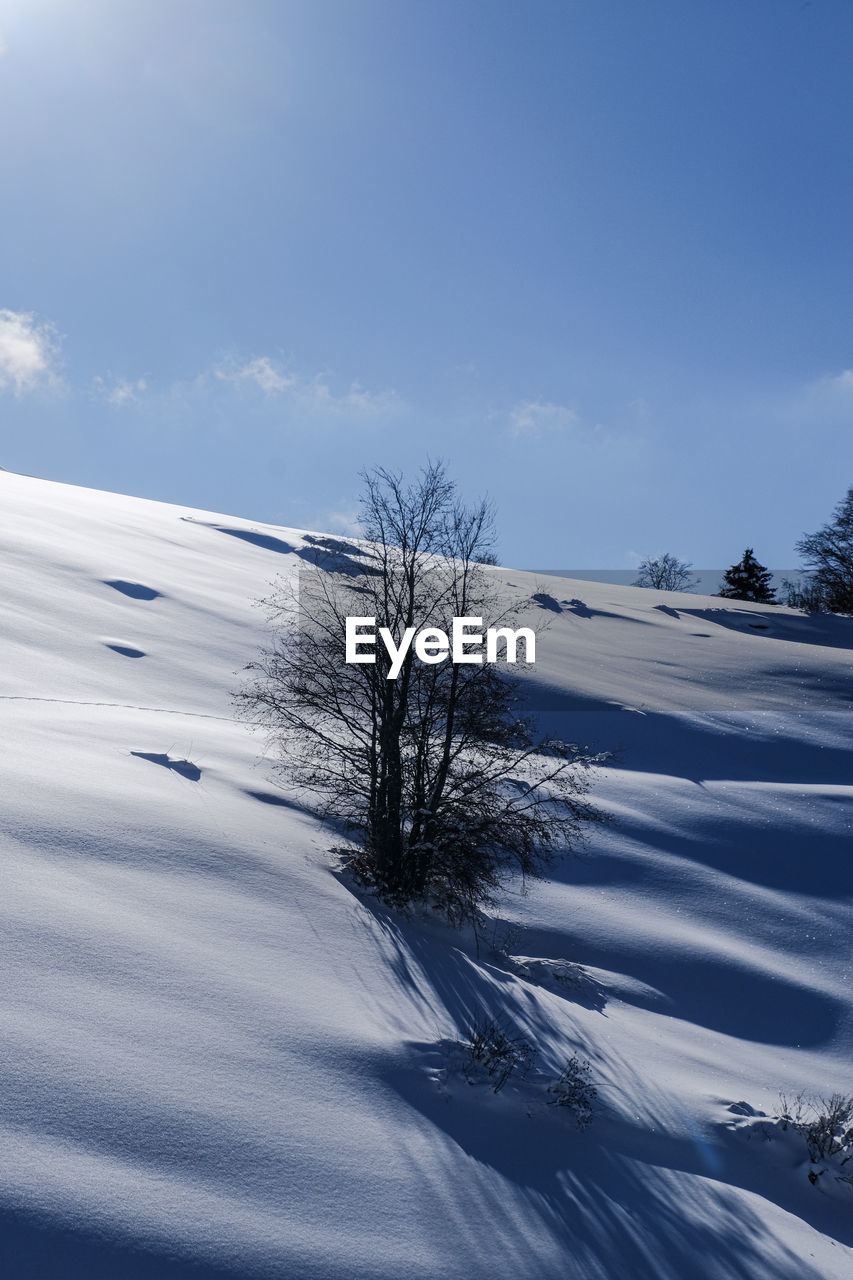 SCENIC VIEW OF SNOW COVERED LANDSCAPE