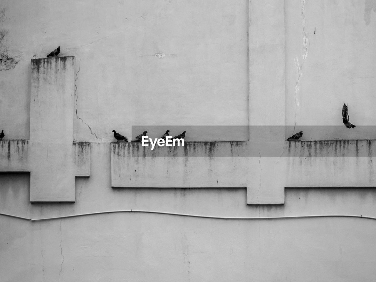 FULL FRAME SHOT OF BUILDING WALL