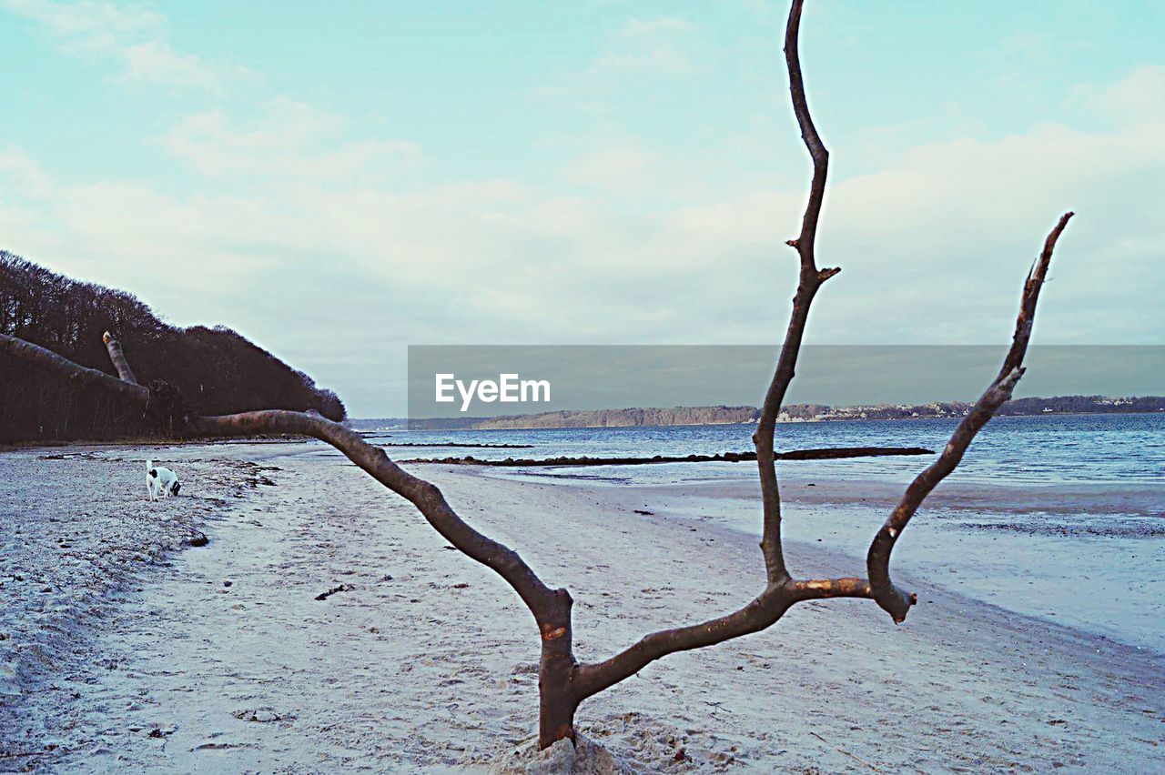 CLOSE-UP OF BEACH AGAINST SEA