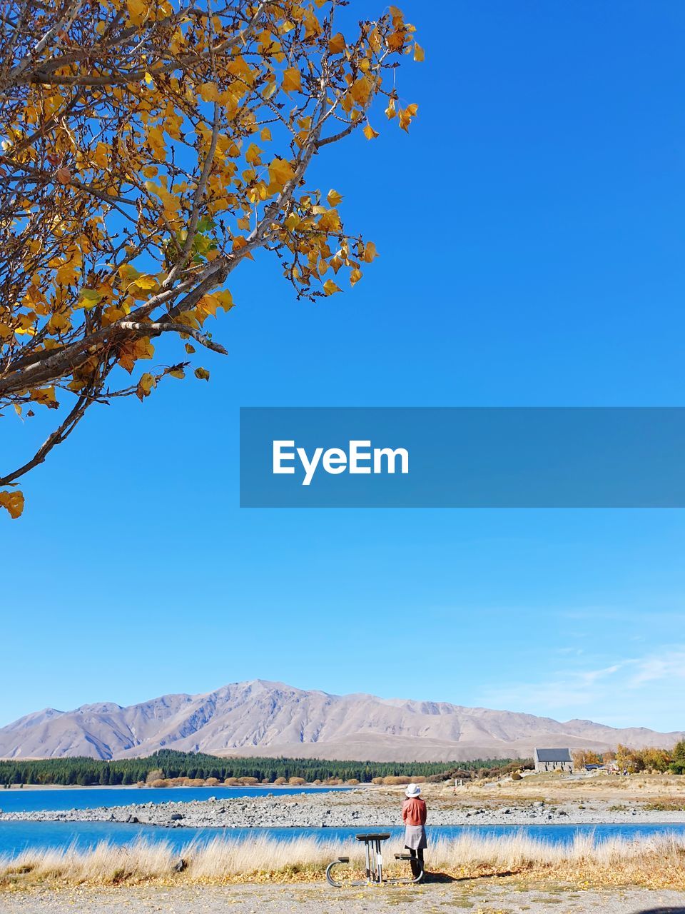 Autumn in lake tekapu 