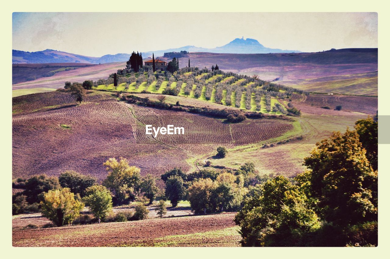 PANORAMIC VIEW OF LANDSCAPE AGAINST SKY