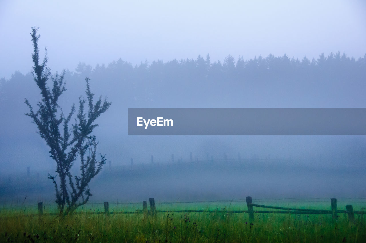 SCENIC VIEW OF LANDSCAPE AGAINST SKY DURING FOGGY WEATHER