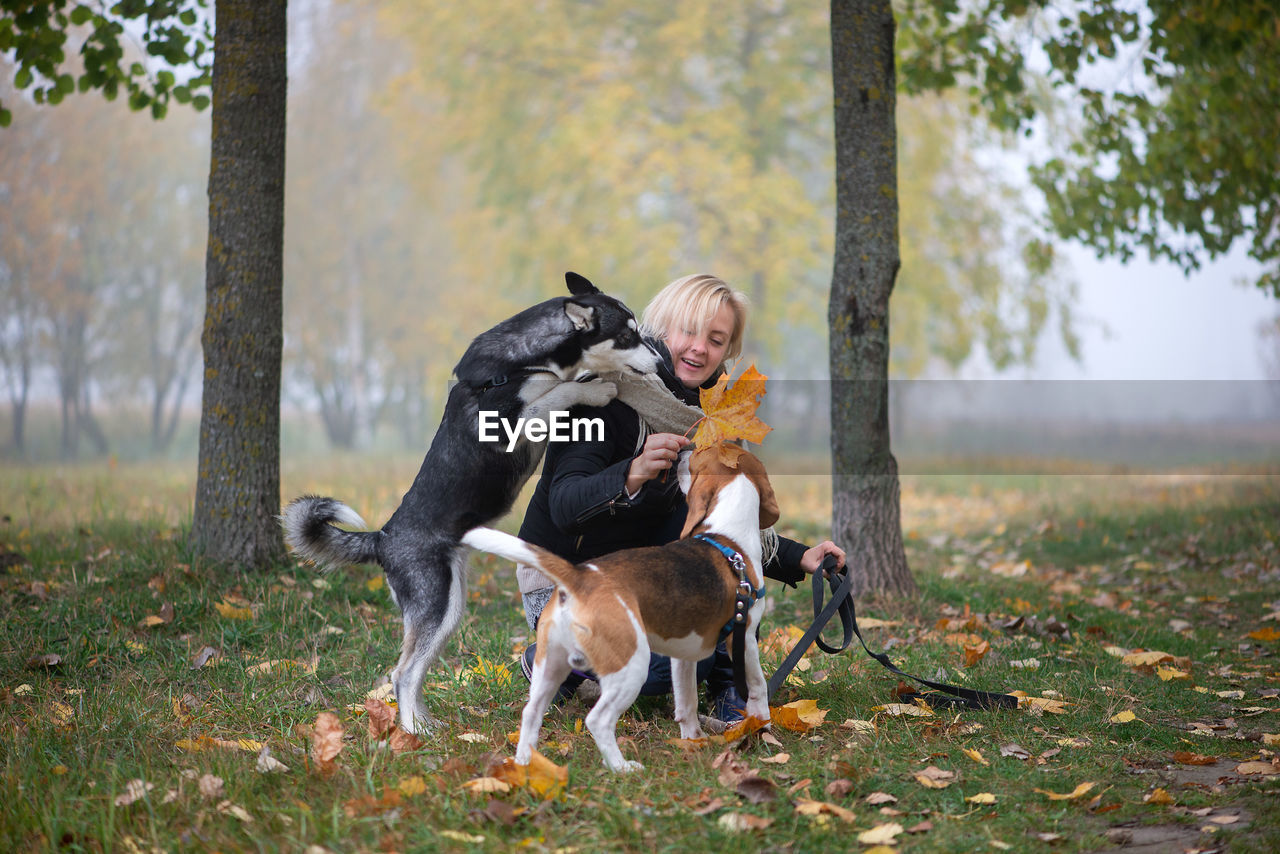 Playful woman with dogs during autumn