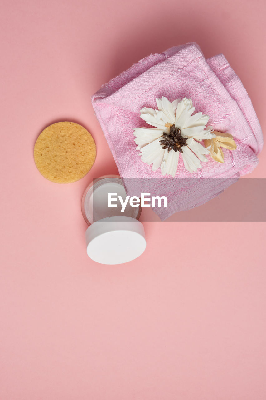 CLOSE-UP OF PINK FLOWER ON WHITE BACKGROUND