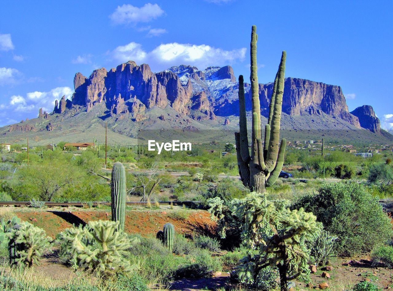 A southwest icon