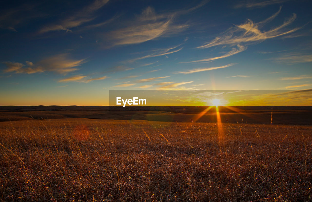 Scenic view of field against sky during sunset