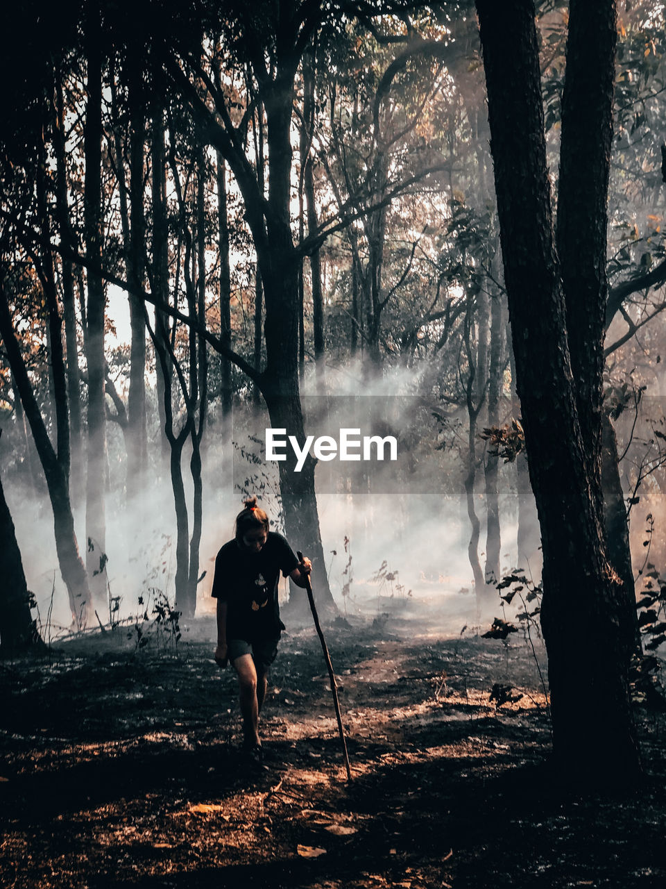 Rear view of man standing by trees in forest