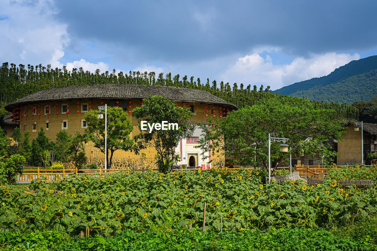 rural area, architecture, plant, sky, built structure, nature, cloud, building, building exterior, landscape, flower, farm, house, environment, land, mountain, tree, rural scene, agriculture, no people, beauty in nature, field, green, scenics - nature, food and drink, outdoors, garden, growth, residential district, estate, travel destinations, crop, travel, plantation, grass, food, flowering plant, day