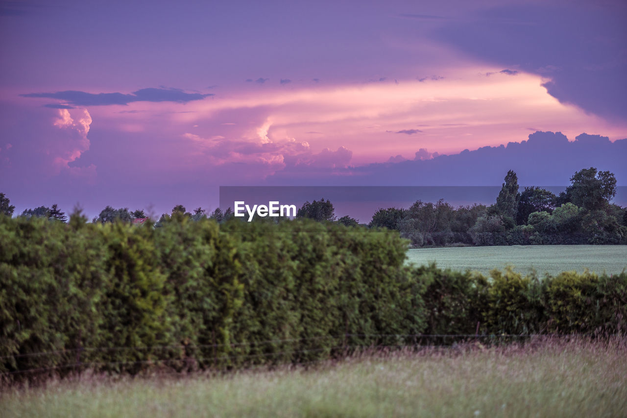 Scenic view of field against cloudy sky