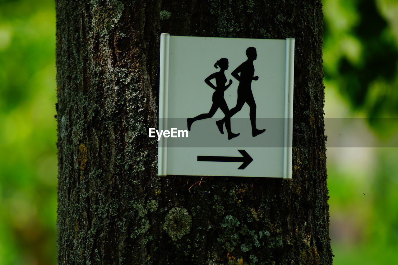 CLOSE-UP OF ARROW SIGN ON TREE TRUNK